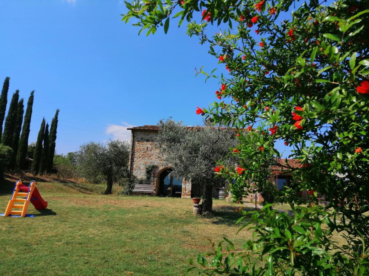Casetta Dell'Uliveto Macchiascandona Exterior foto