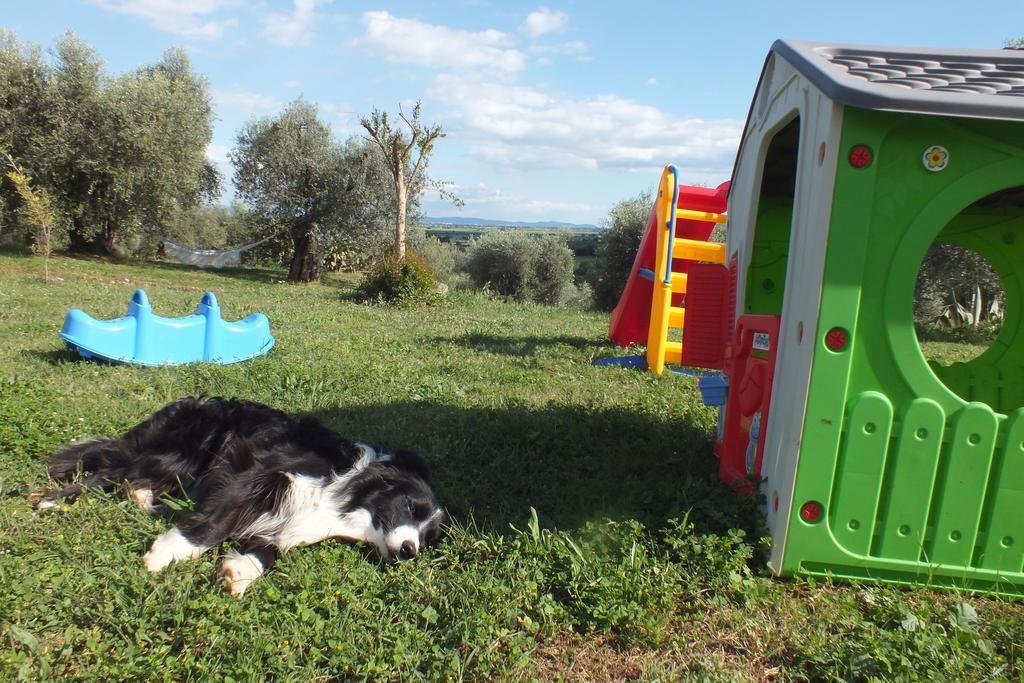 Casetta Dell'Uliveto Macchiascandona Exterior foto